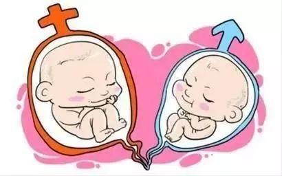 有偿孕妈借卵代怀咨询怎么选